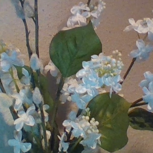 Meet your Posher, Christian - Picture 1 of 1